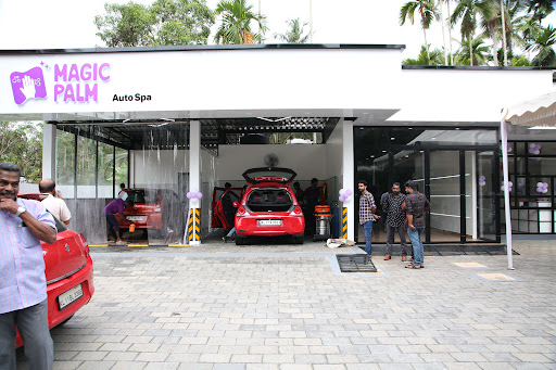 Magic Palm Auto Spa