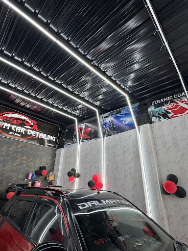 THE Venom Car Detailing